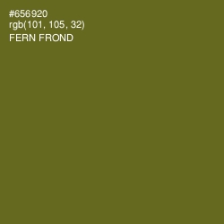 #656920 - Fern Frond Color Image