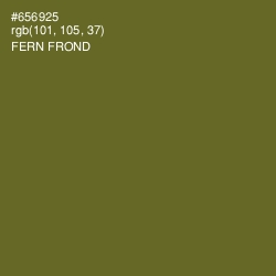 #656925 - Fern Frond Color Image