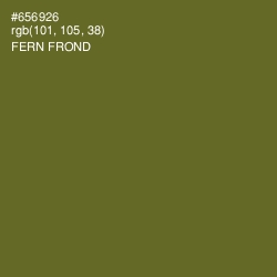 #656926 - Fern Frond Color Image