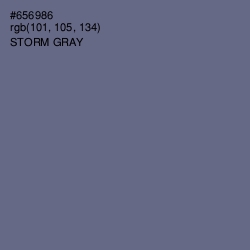 #656986 - Storm Gray Color Image