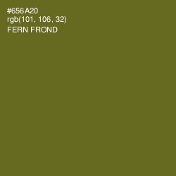 #656A20 - Fern Frond Color Image