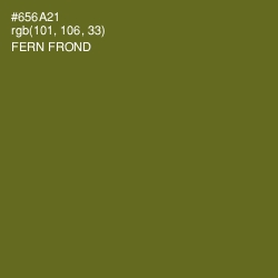 #656A21 - Fern Frond Color Image