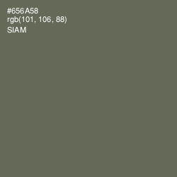 #656A58 - Siam Color Image