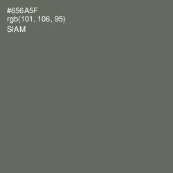 #656A5F - Siam Color Image