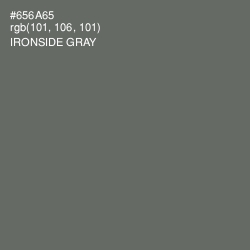 #656A65 - Ironside Gray Color Image