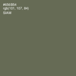 #656B54 - Siam Color Image