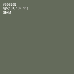 #656B5B - Siam Color Image