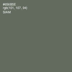 #656B5E - Siam Color Image