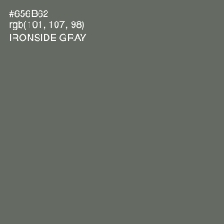 #656B62 - Ironside Gray Color Image