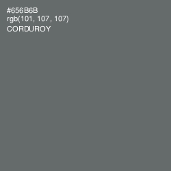 #656B6B - Corduroy Color Image