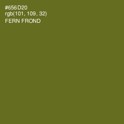 #656D20 - Fern Frond Color Image