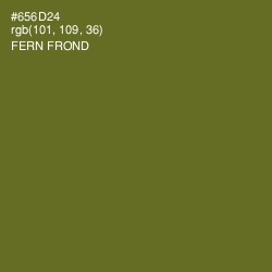 #656D24 - Fern Frond Color Image