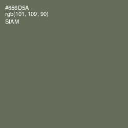 #656D5A - Siam Color Image