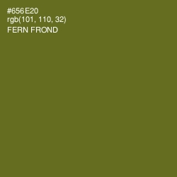 #656E20 - Fern Frond Color Image