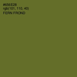 #656E28 - Fern Frond Color Image