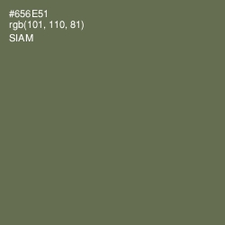 #656E51 - Siam Color Image