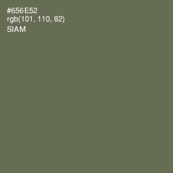 #656E52 - Siam Color Image