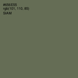 #656E55 - Siam Color Image