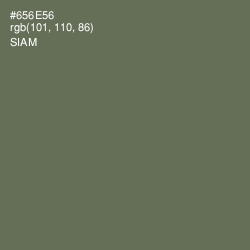 #656E56 - Siam Color Image