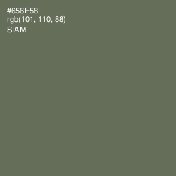 #656E58 - Siam Color Image