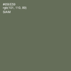 #656E59 - Siam Color Image