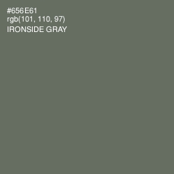 #656E61 - Ironside Gray Color Image