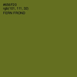 #656F20 - Fern Frond Color Image