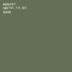 #656F57 - Siam Color Image