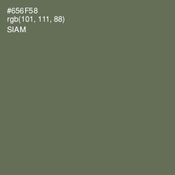 #656F58 - Siam Color Image