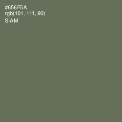 #656F5A - Siam Color Image