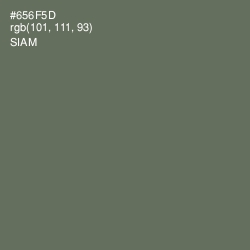 #656F5D - Siam Color Image