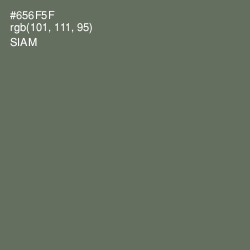 #656F5F - Siam Color Image