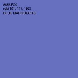 #656FC0 - Blue Marguerite Color Image