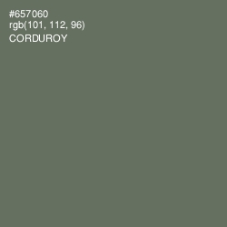 #657060 - Corduroy Color Image