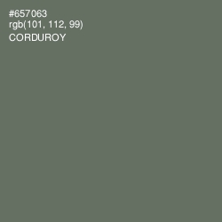 #657063 - Corduroy Color Image