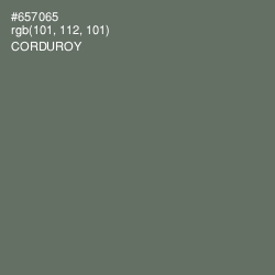 #657065 - Corduroy Color Image