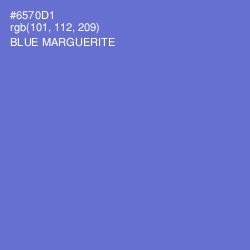 #6570D1 - Blue Marguerite Color Image