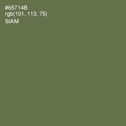 #65714B - Siam Color Image