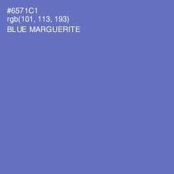 #6571C1 - Blue Marguerite Color Image