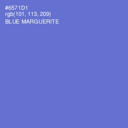 #6571D1 - Blue Marguerite Color Image