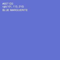 #6571D2 - Blue Marguerite Color Image