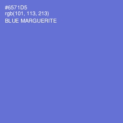 #6571D5 - Blue Marguerite Color Image