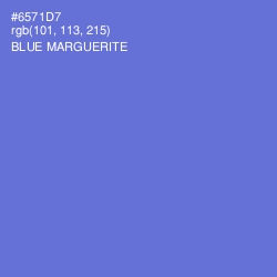 #6571D7 - Blue Marguerite Color Image