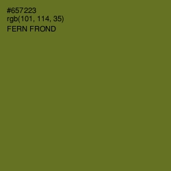 #657223 - Fern Frond Color Image