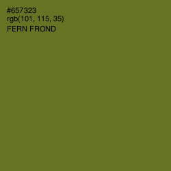 #657323 - Fern Frond Color Image