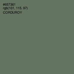 #657361 - Corduroy Color Image