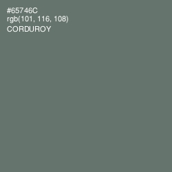 #65746C - Corduroy Color Image