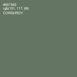 #657563 - Corduroy Color Image