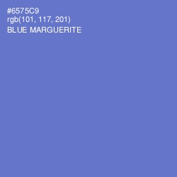 #6575C9 - Blue Marguerite Color Image