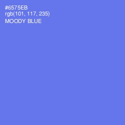 #6575EB - Moody Blue Color Image